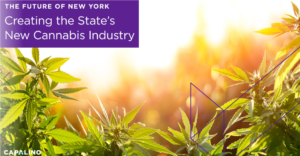 Creating the State’s New Cannabis Industry